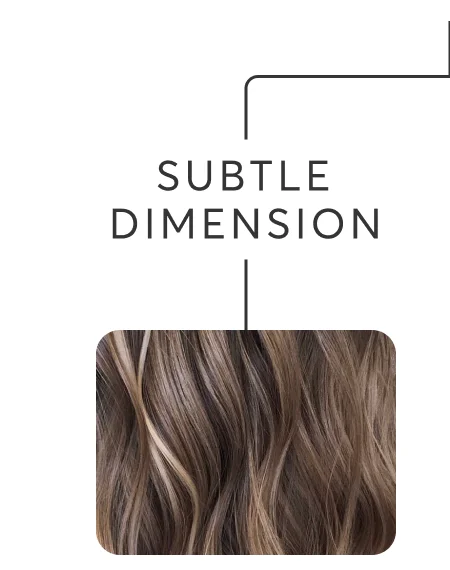 Subtle Dimension