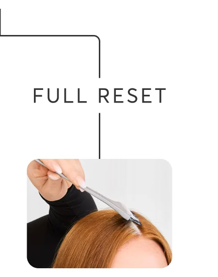 Full Reset