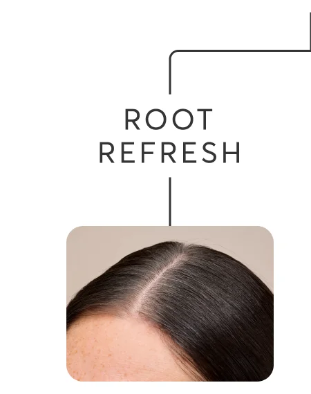 Root Refresh
