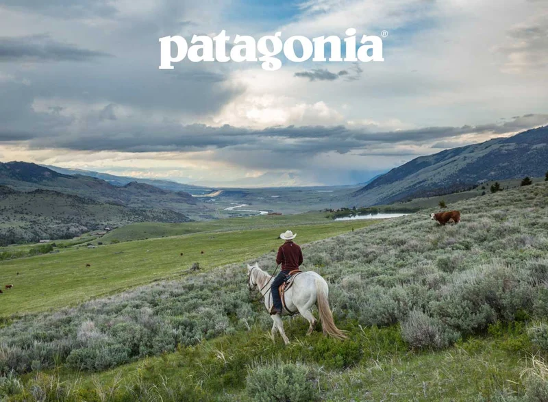 A person on a horse riding through a field.