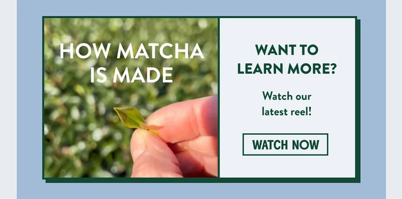 Matcha Green Tea leaf