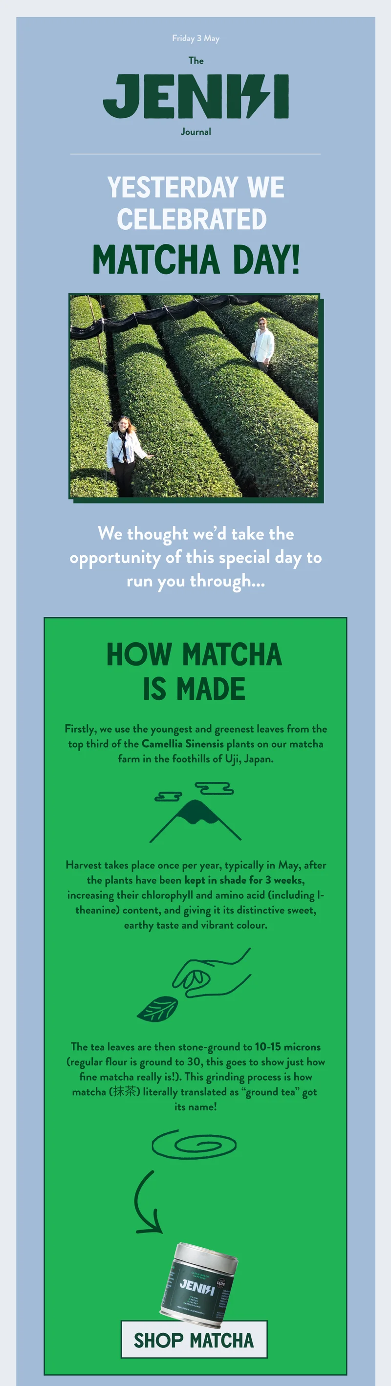 How matcha is made