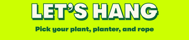 LET’S HANG  Pick your plant, planter, and rope