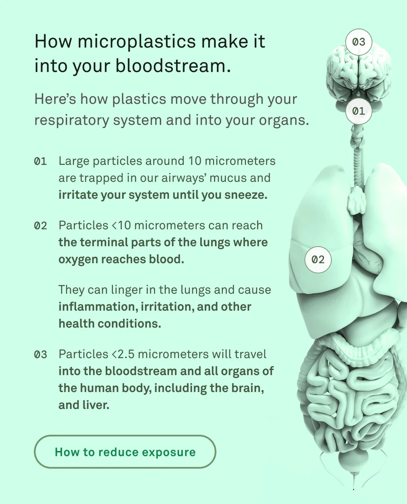 How microplastics make it into your bloodstream