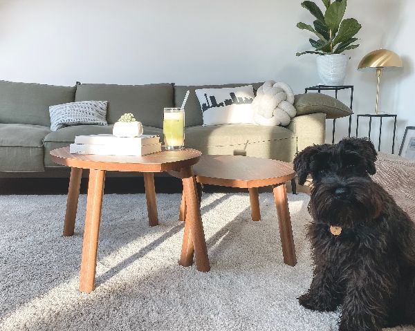 Remove Carpet Stains