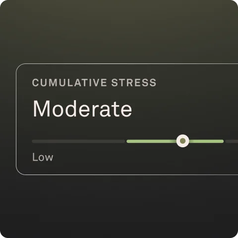 Cumulative stress UI