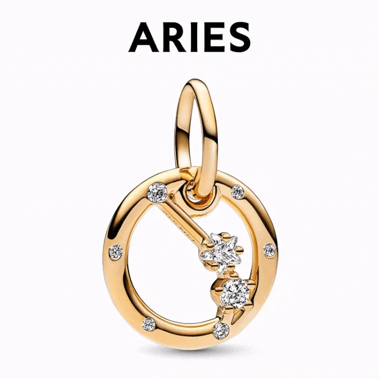 Zodiac Charms