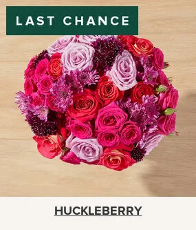 Flowers At a Great Price