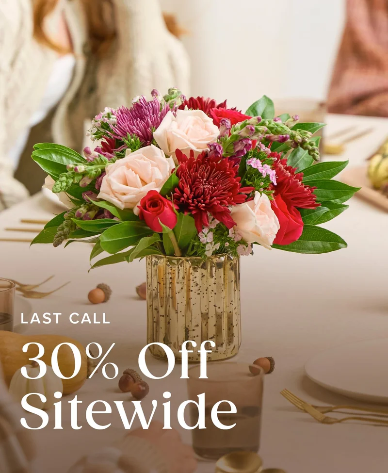 Last Call: 30% Off Sitewide