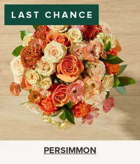 Flowers At a Great Price
