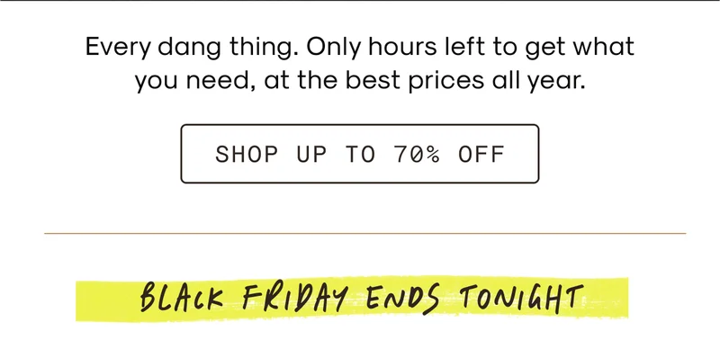 black friday sale