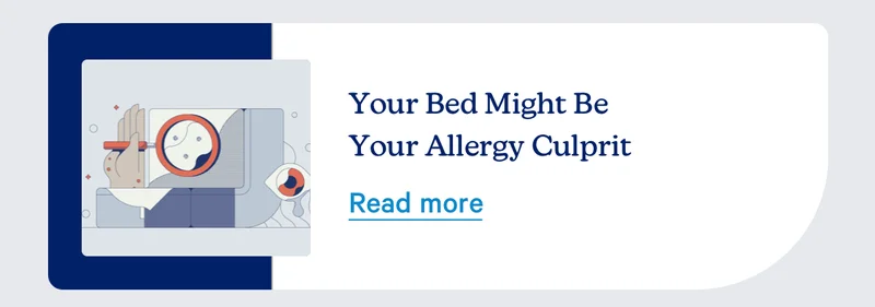 Your Bed Might Be Your Allergy Culprit