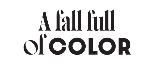 A fall full of color