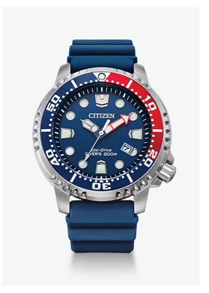 Promaster Dive