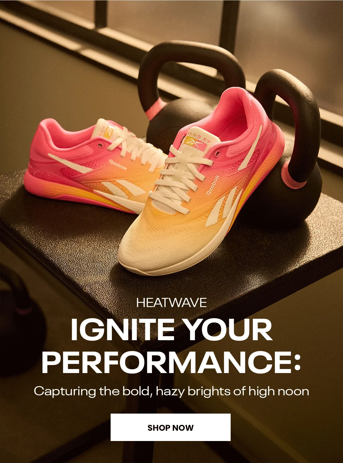 Shop All Training