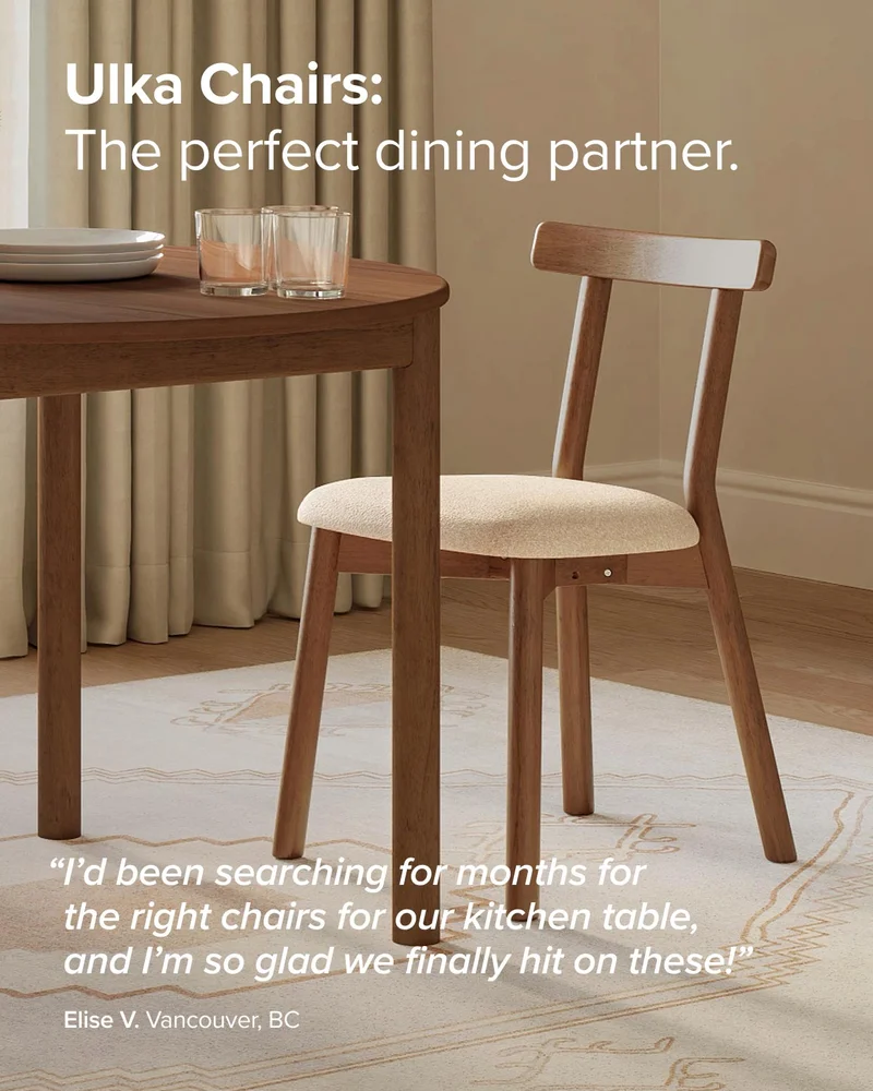 Ulka Chairs: The perfect dining partner.