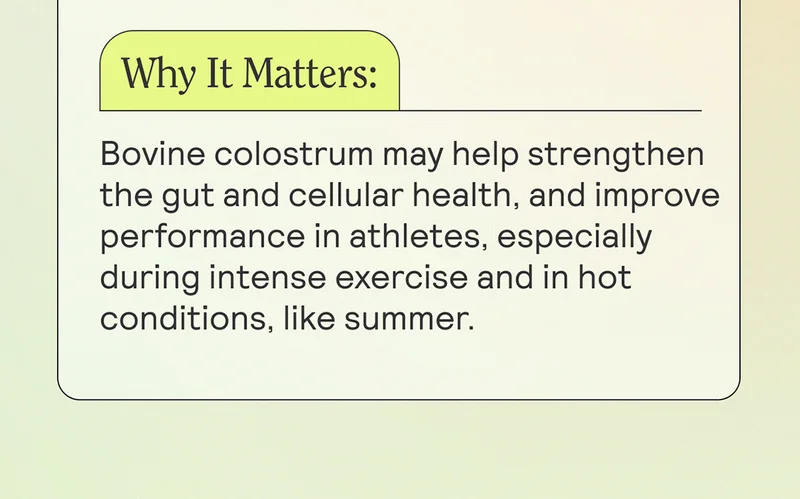 Why It Matters: Bovine colostrum may help strengthen the gut and cellular health, and improve performance in athletes, especially during intense exercise and in hot conditions, like summer.