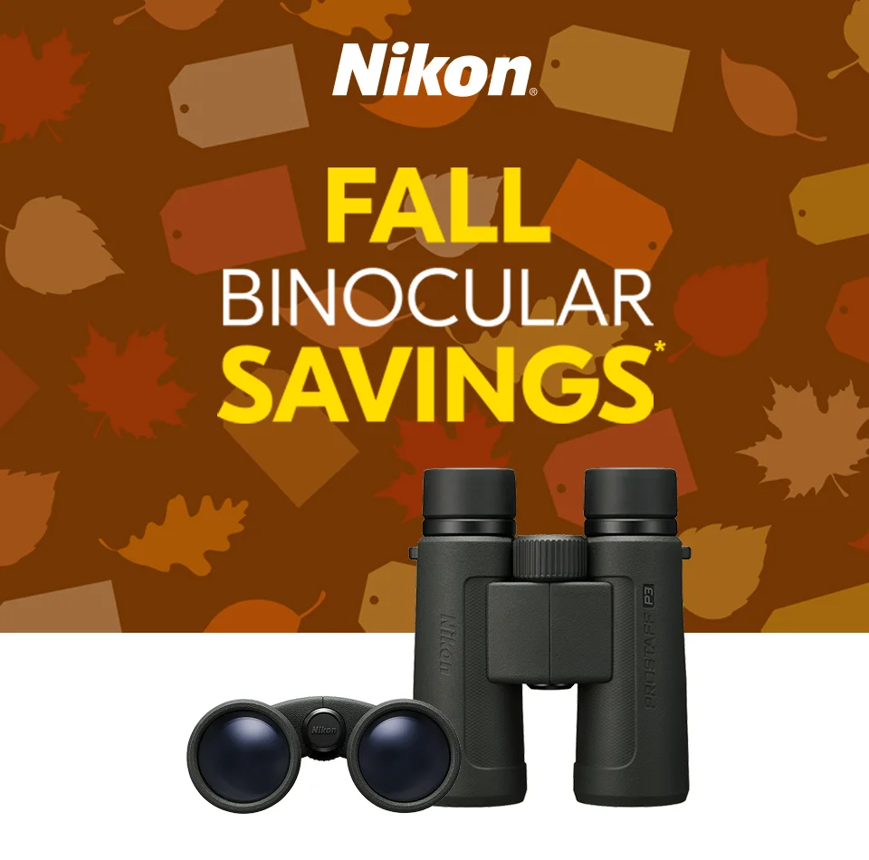 Nikon Fall Savings on Select Nikon Lenses*