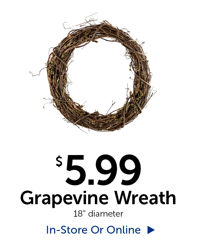 $5.99 Grapevine Wreath - 18" in diameter