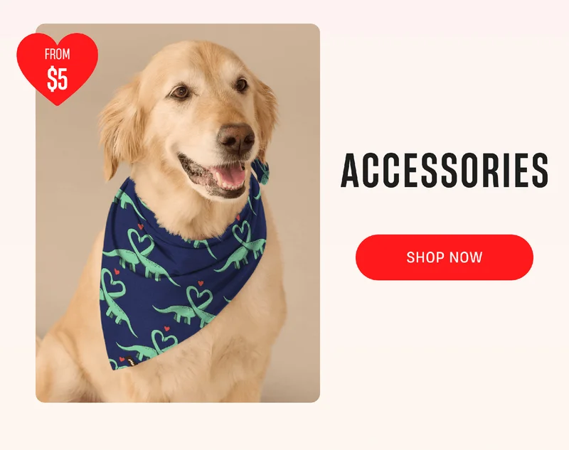 From $5 | Accessories | Shop Now