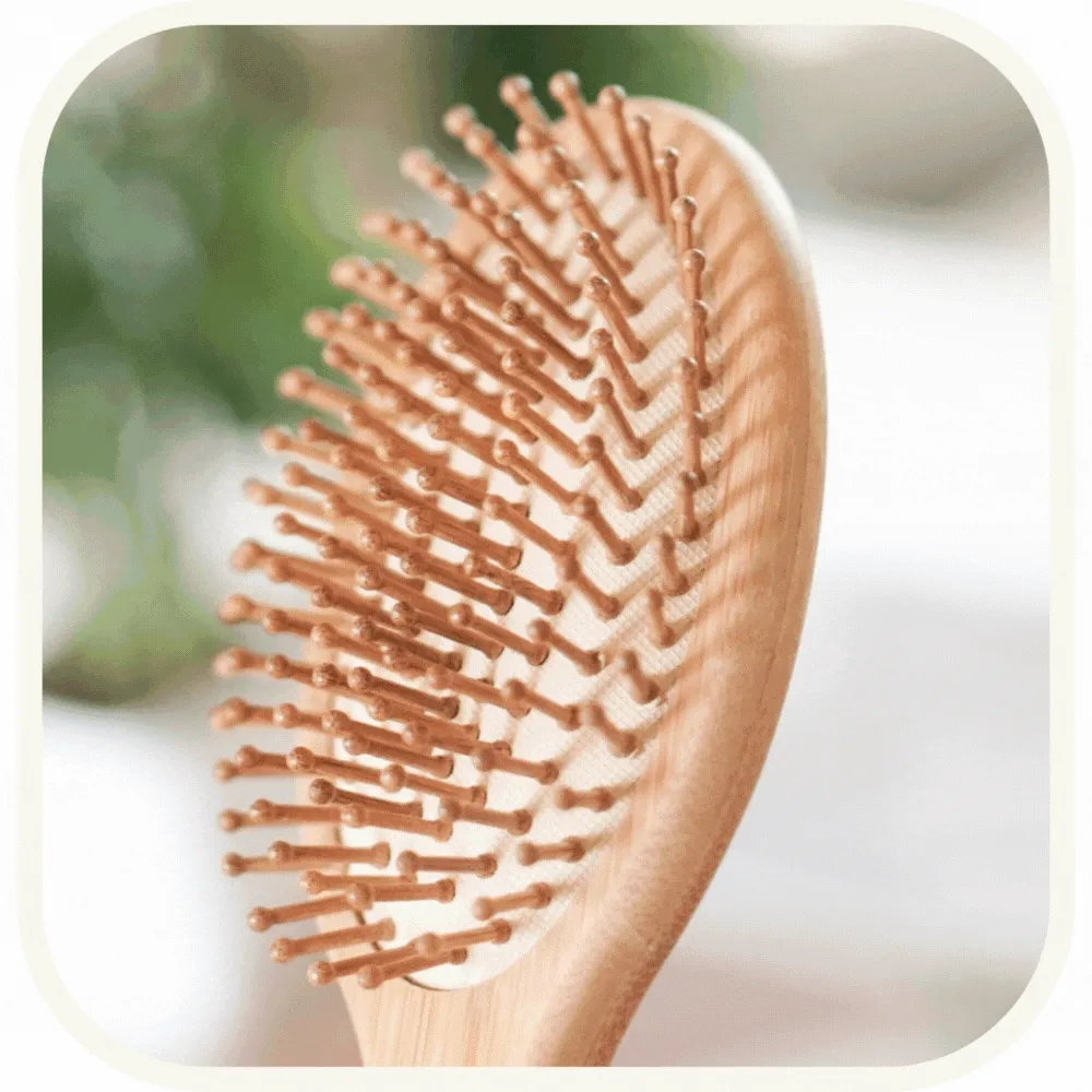 Shop Bamboo