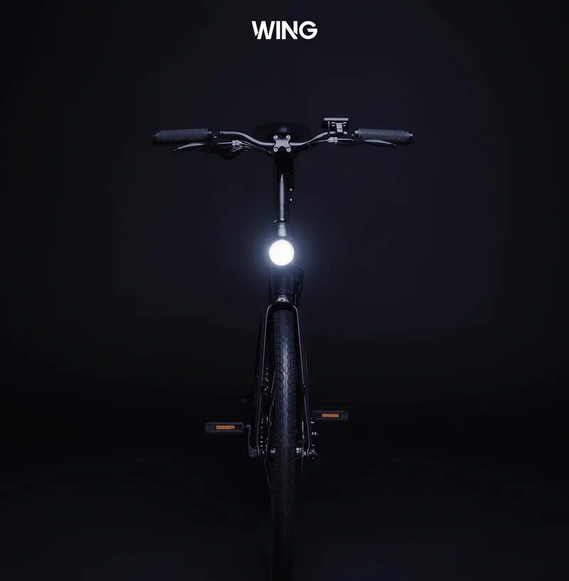 Wing Freedom