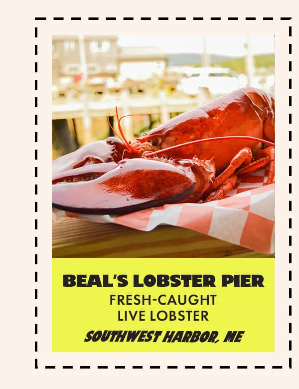 Lobster