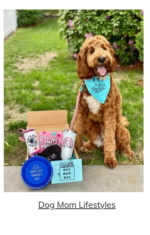 Ultimate Dog Mom Relaxation Box