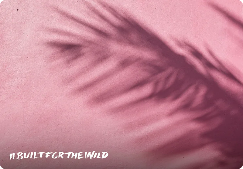 Built For The Wild