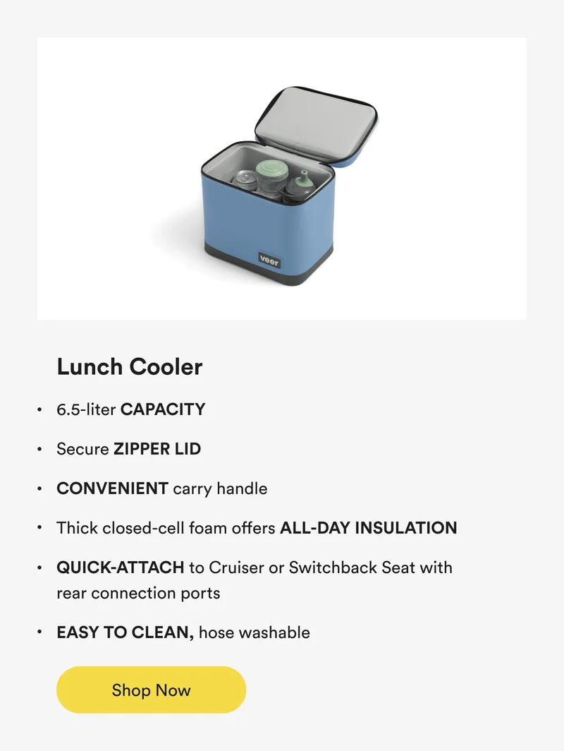 veer lunch cooler