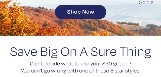 Shop Now Button - Image