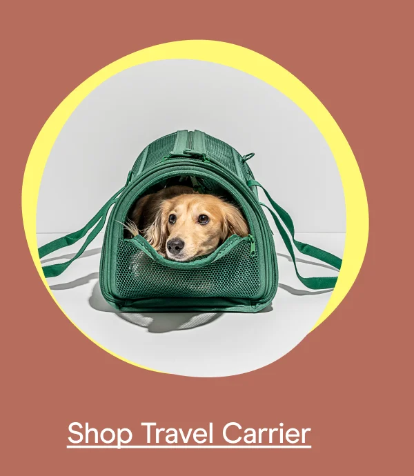 travel carrier