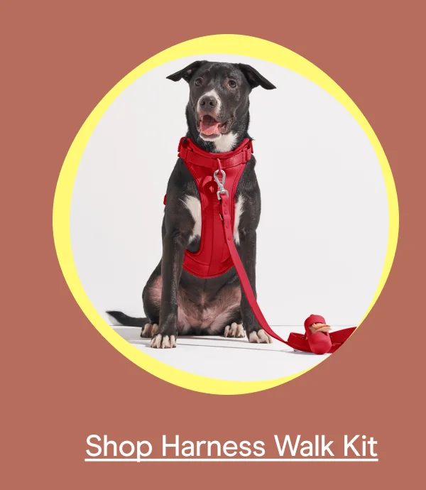 walk kit