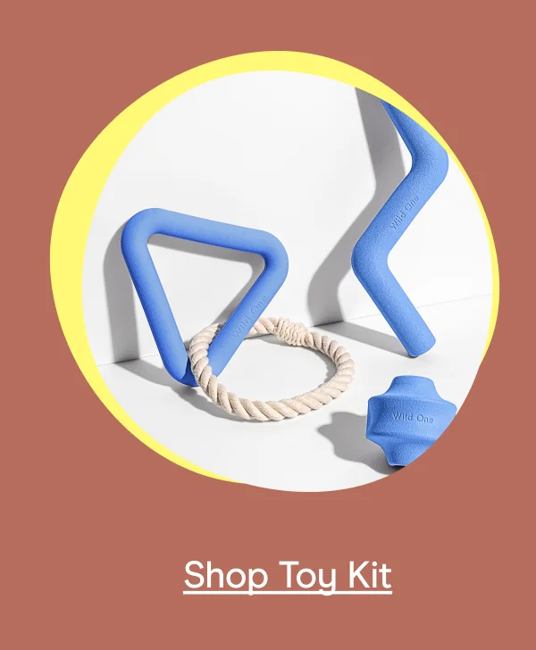 toy kit