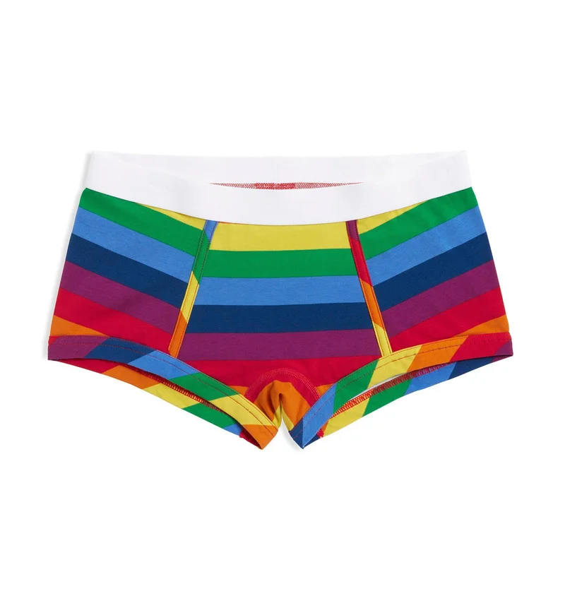 Image of Boy Shorts - Rainbow Pride Stripes