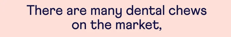 There are many dental chews on the market,