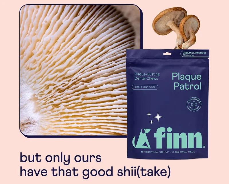 But only ours have that good shii(take)