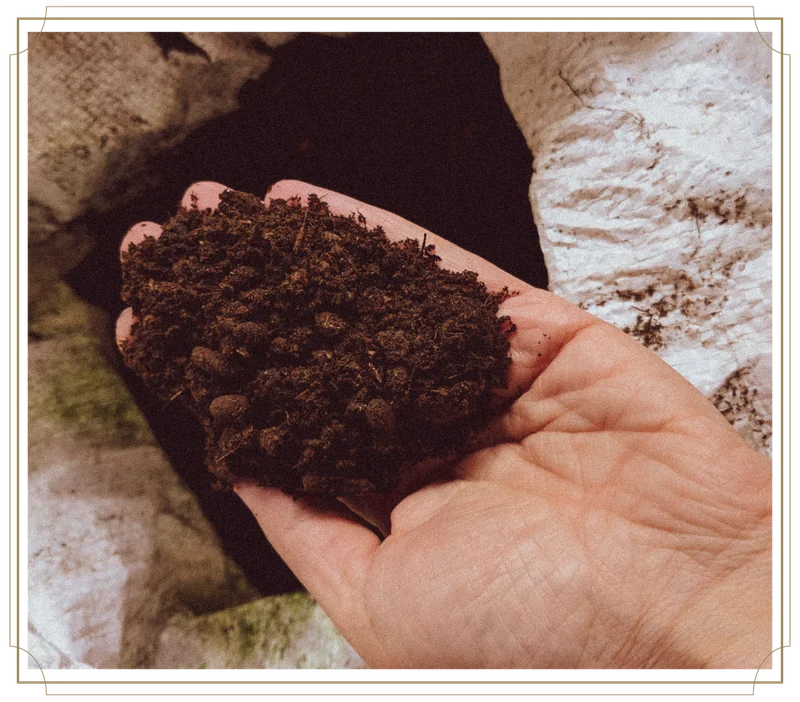 We purchased Finca Churupampa's first harvest back in 2014—just 20 bags. A decade later, their leadership, focus on environmental sustainability, and exceptional organic standards continue to impress us.