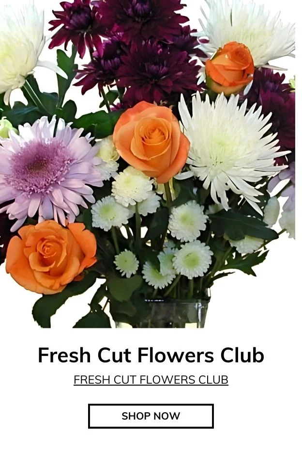The Fresh Cut Flower of the Month Club