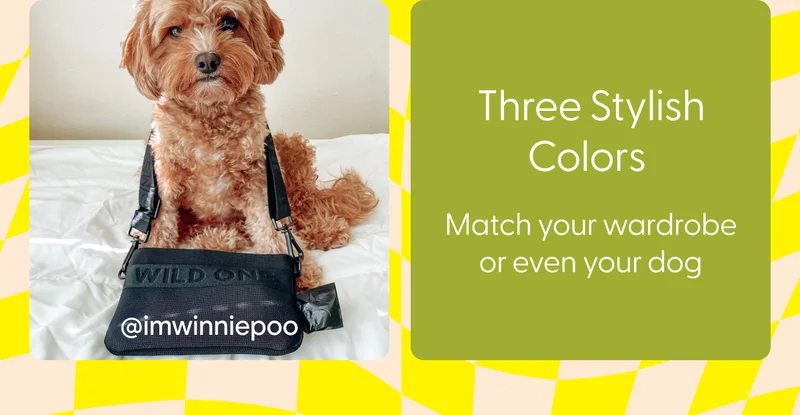 Three Stylish Colors&nbsp; Match your wardrobe or even your dog