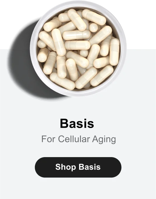 Basis | For Cellular Aging | Shop Basis
