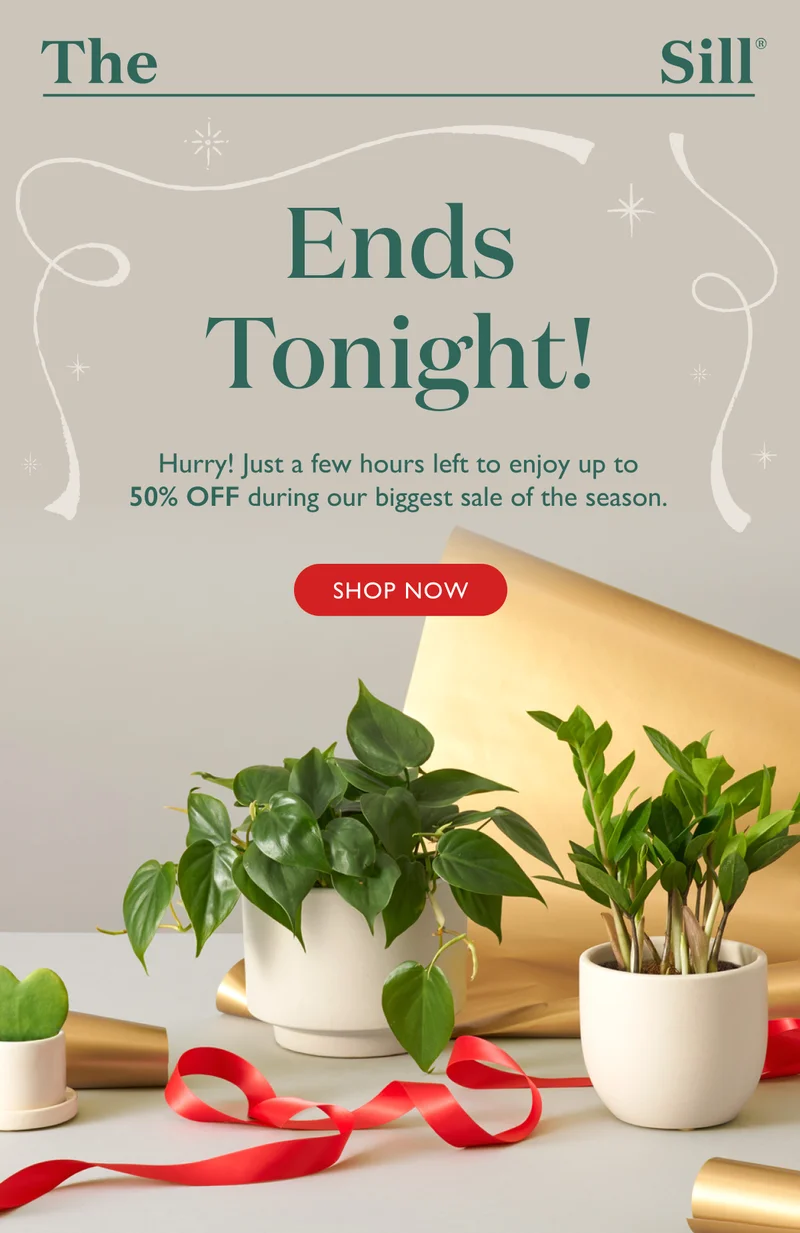 Hurry! Just a few hours left to enjoy up to 50% OFF during our biggest sale of the season.