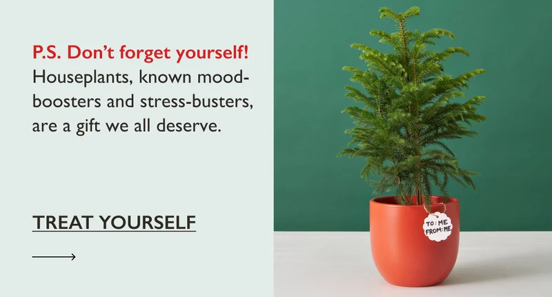 P.S. Don't forget yourself! Houseplants, known mood-boosters and stress-busters, are a gift we all deserve.