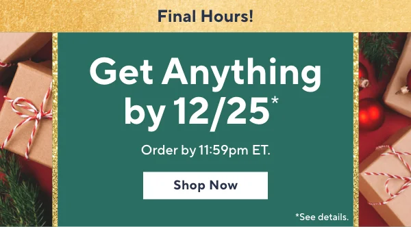 Final Hours