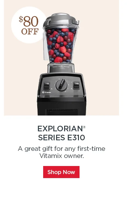 Explorian Series E310