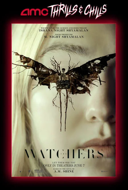 The Watchers