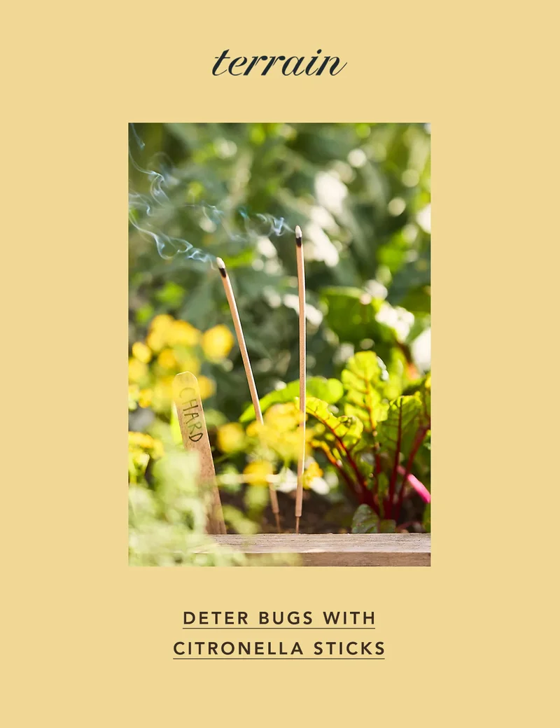terrain Deter Bugs with Citronella Sticks