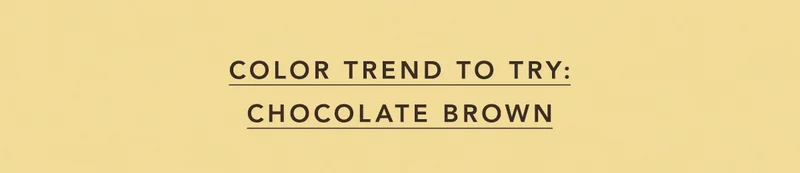 Color Trend to Try: Chocolate Brown