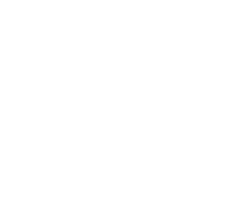 Ironclad Gurantee icon