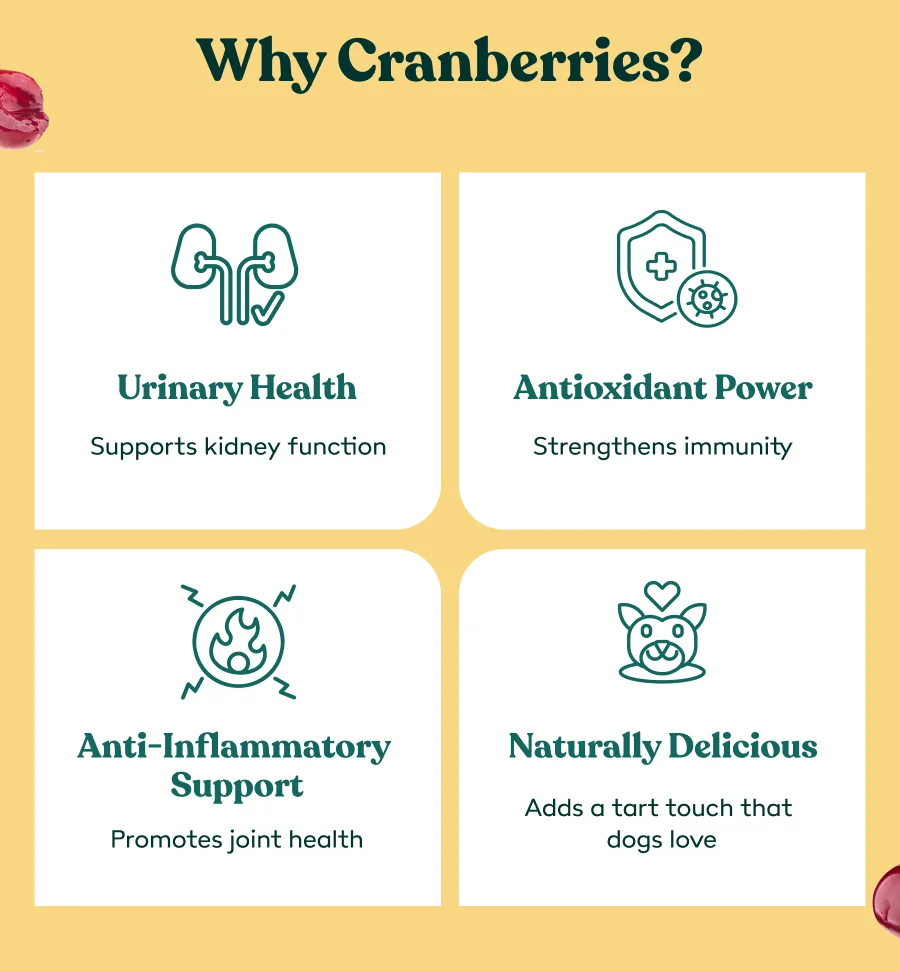 Why Cranberries?